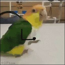 TannerPandora_0-1594402181034.gif